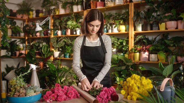 Focused professional stunning young female florist decorating bouquet of flowers using wrapper on counter of cozy flower shop. Beautiful adult woman wearing apron enjoying working.