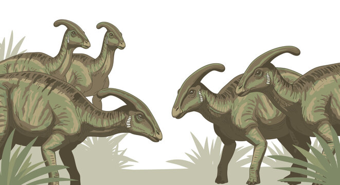 Group of parasaurolophus dinosaurs illustration on white background