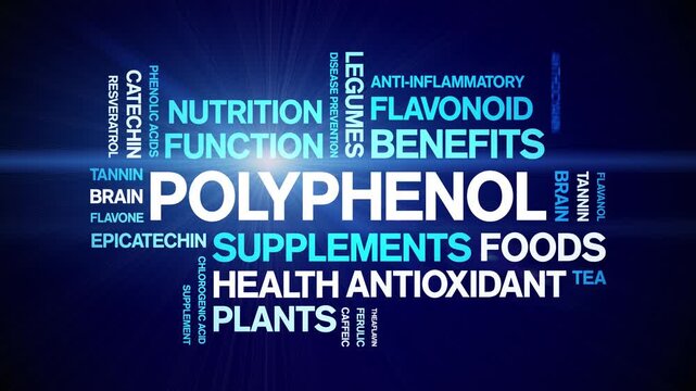 Polyphenol animated word cloud-animation tag kinetic typography seamless loop.