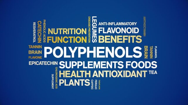 Polyphenols animated word cloud-animation tag kinetic typography seamless loop.