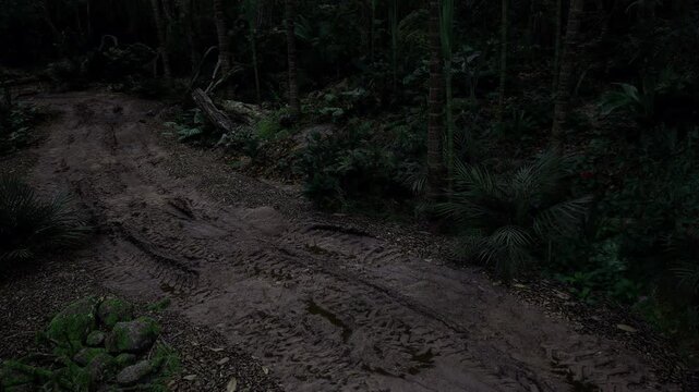 Forest ranger night patrol along mud track, utility gear footprints and careful markers visible, methodical movement through dense vegetation, stewardship