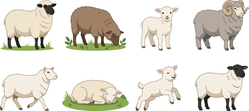 Farm Animal Vector Collection Featuring Sheep, Lambs, and Rams in Various Poses and Colors