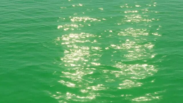 Sunlight glimmers on the surface of calm green ocean water