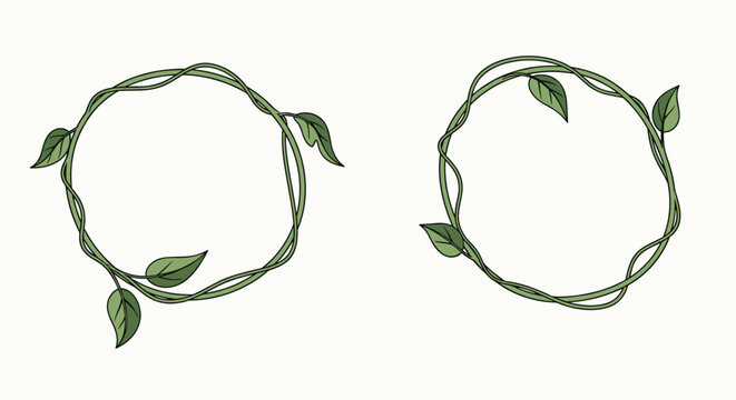Two simple circular leafy vine wreath frames drawn in green lines isolated on a plain off-white background.