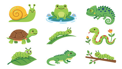 Cute green animals and insects vector illustration set featuring frog chameleon snail turtle snake lizard caterpillar and iguana characters © Ruma