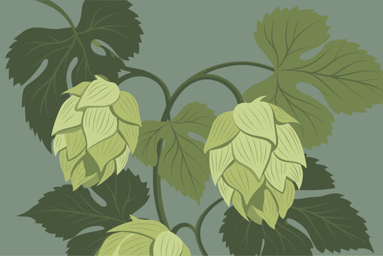 Fresh green hop cones and leaves on a branch depicted in a clean modern graphic vector design style.