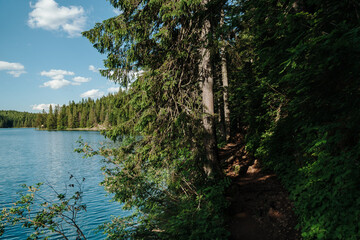 Woodland trail following the shoreline of Black Lake in Durmitor National Park, Zabljak, Montenegro. Evergreen trees cast shade over the scenic hiking path beside the clear water. © Ekaterina