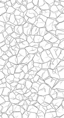 Obraz premium Abstract Gray Cracked Surface Pattern on White Background