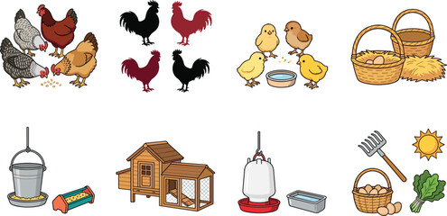 Poultry Farming Elements Collection with Chickens Chicks Coop Feeders and Farm Supplies © Md