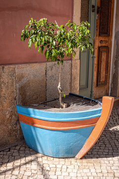 Tree in a boat-shaped planter pot in Olh&atilde;o,  Portugal