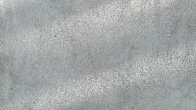 Shadow of tree leaves on raw concrete wall surface with copy space