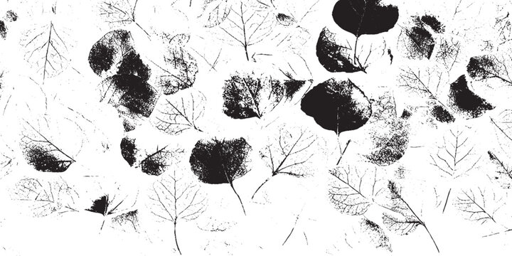 ink splat ink vector illustration
