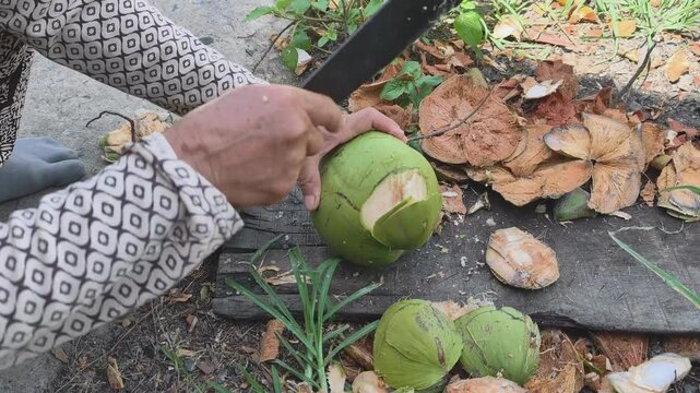 Local person using a machete to peel and prepare fresh coconut in Mekong Delta, Vietnam - Authentic traditional food preparation
