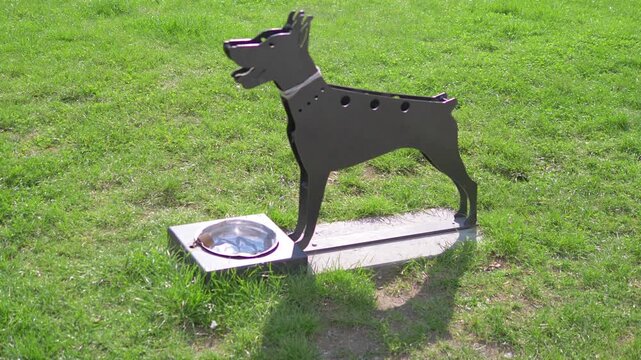 Metal dog bowl with dog silhouette and a bird on grass in 4K slow motion 60fps