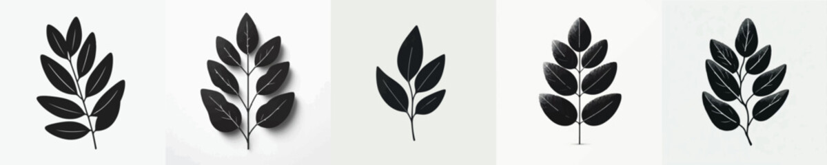 Vector silhouette of eucalyptus leaf © FirdianKrisna