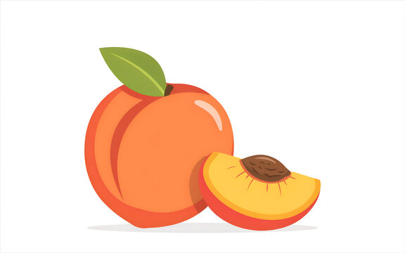 Fresh peach and slice illustration healthy fruit vector graphic