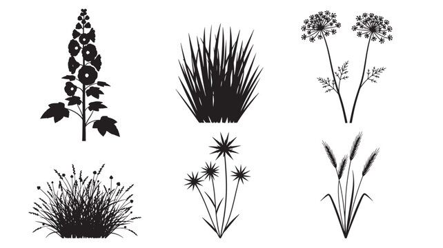 Flowers Silhouette Set with Black Botanical Icons and Grass Blades for Nature, Decor, and Stencil Designs