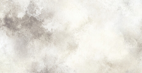 Fototapeta premium Abstract watercolor texture background, with soft grey, and white clouds, featuring subtle botanical, leaf silhouettes on, the right side, of the frame .