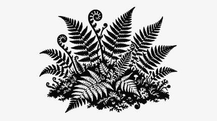 Detailed black and white fern leaf illustration. © Berkah