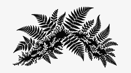 Detailed black and white fern leaf illustration. © Berkah