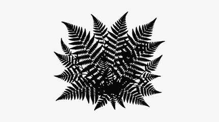 Detailed black and white fern leaf illustration. © Berkah