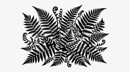 Detailed black and white fern leaf illustration. © Berkah