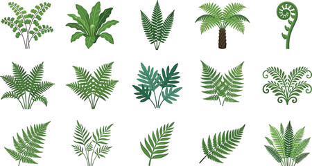 Tropical fern leaves and green foliage vector set featuring various jungle fronds botanical elements and forest plants © ALOMGIR