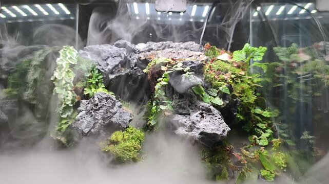 A glass terrarium aquascape featuring rugged dark gray rocks, vibrant moss, and small leafy plants illuminated by overhead LED lights. Mist rises from the base, enhancing the humid, atmospheric effect