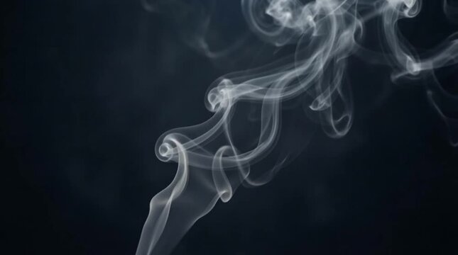 Wispy white smoke rising vertically over dark background, abstract vapor swirl and curl, translucent vapor trail in black space for SEO searchable upload title