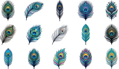 Elegant peacock feather vector illustration set featuring colorful ornate plumes bohemian textures and luxury exotic design icons © ALOMGIR