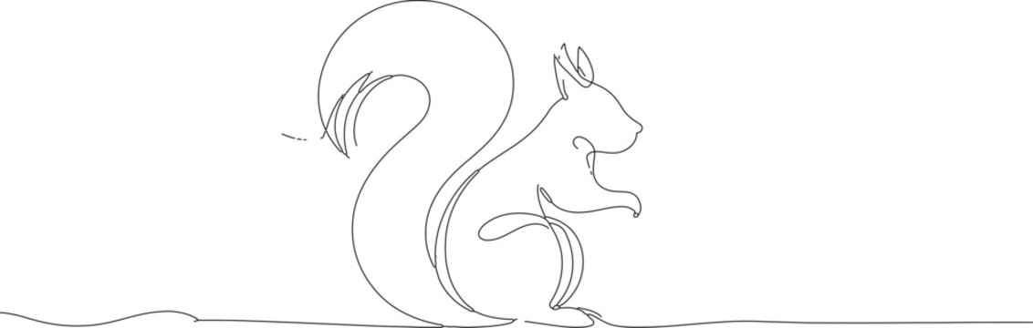 Minimalist squirrel outline in continuous single line art
