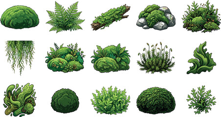 Green moss and fern vector illustration set featuring forest ground cover stones logs and botanical nature design elements © ALOMGIR