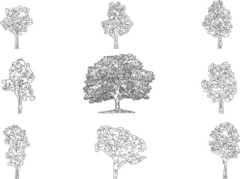 Minimalist tree line art collection