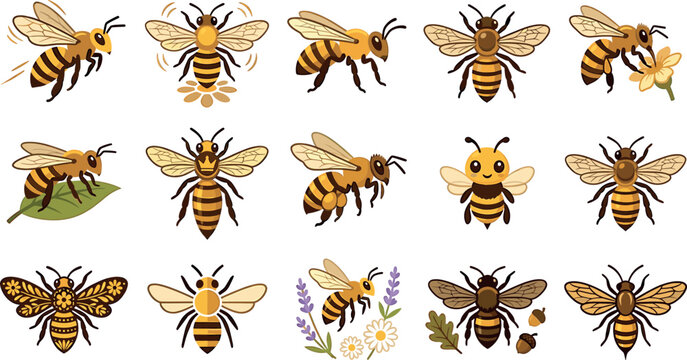 Honey bee insect vector illustration set featuring various flying working queen bumblebee and stylized nature design icons