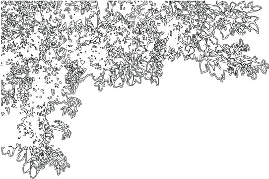 Minimalist tree leaves line art