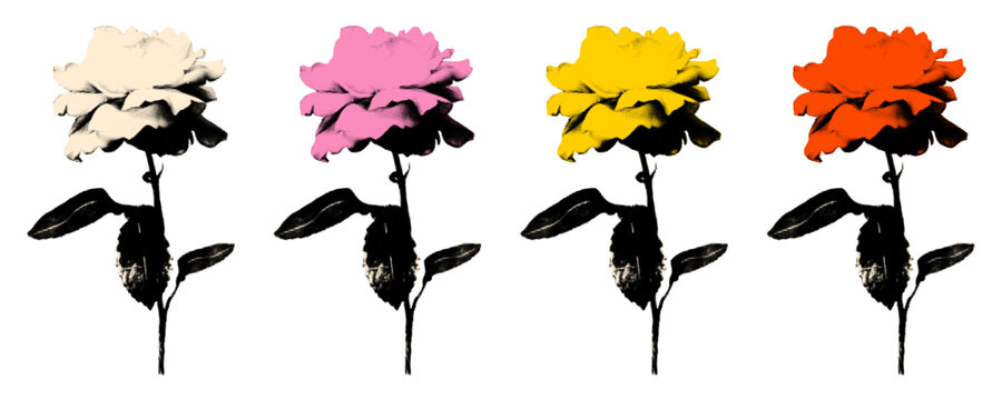 Set of rose cutouts in pop art style, white, pink, yellow and red flowers with leaves and stems. Vintage halftone collage vector illustration, floral elements for romantic design and scrapbook