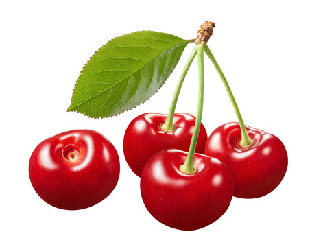 Bunch of three cherries  and single berry isolated on white background. Real photography