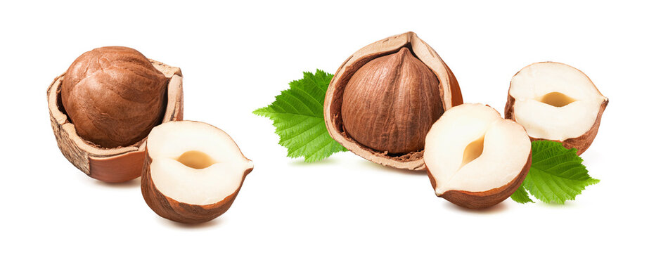 Whole and cracked hazelnut nuts with leaves set isolated on white background. Real photography.