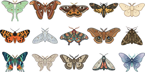 Moth and butterfly vector illustration set featuring luna moth, cecropia, deaths head hawkmoth, and stylized insect icons © ALOMGIR
