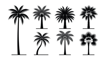 Fototapeta premium Black palm tree silhouettes set