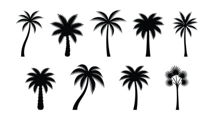 Fototapeta premium Black palm tree silhouettes on white background