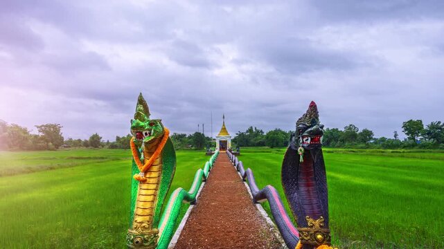 A time-lapse video of a Buddha footprint located in the middle of a rice field in Sakon Nakhon Province, Thailand.