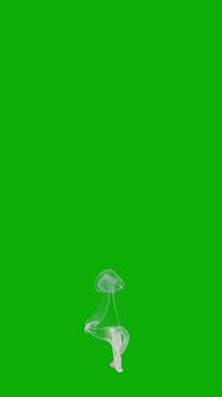 Thin, wispy smoke rising slowly, green screen for transparent background, orthographic vertical orientation perfect for texture maps and shaders, 4k 24p