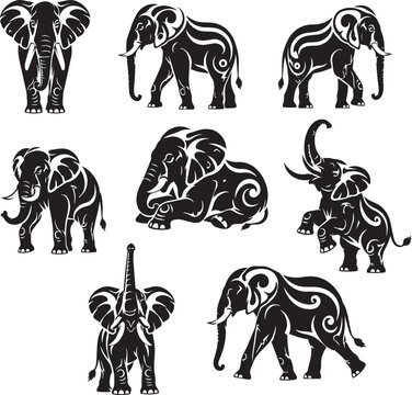 Black and White Horse and Zebra Vector Silhouette Set Collection with Wild and Farm Animal Illustrations Isolated on White Background