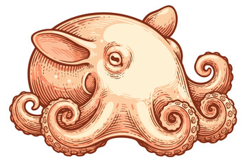 Vintage style illustration of an octopus with intricate details © colorshapppy