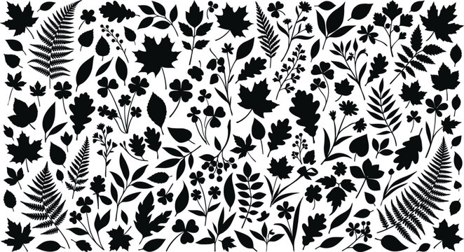 Botanical silhouettes diverse plant life collection in black and white