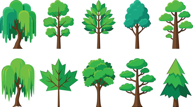 Cartoon green tree flat vector icon pack featuring stylized willow maple pine oak and cedar illustrations isolated for landscape design layouts