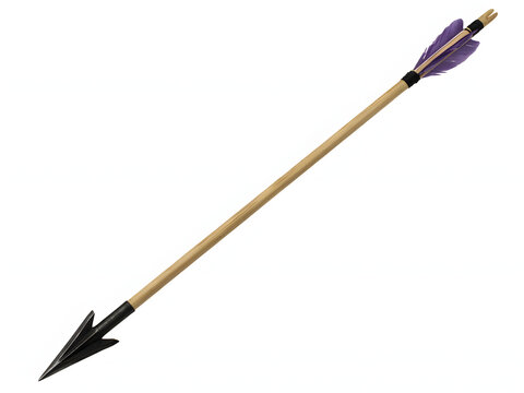 Wooden arrow with black arrowhead and purple fletching for archery and target practice, isolated on white background