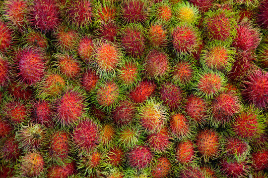  Close up of rambutan in fresh food market