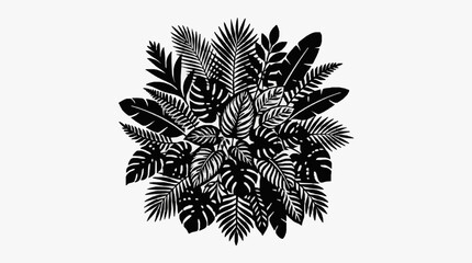 Naklejka premium Tropical palm leaves black and white illustration.